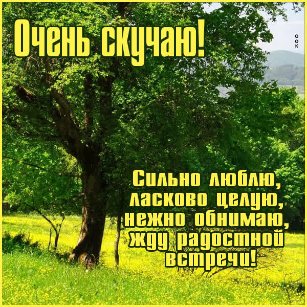 Picture яркая открытка очень скучаю