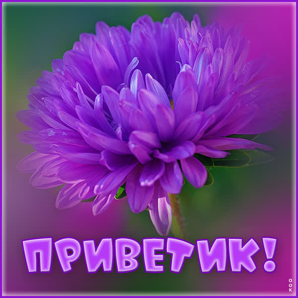 Picture яркая открытка приветик