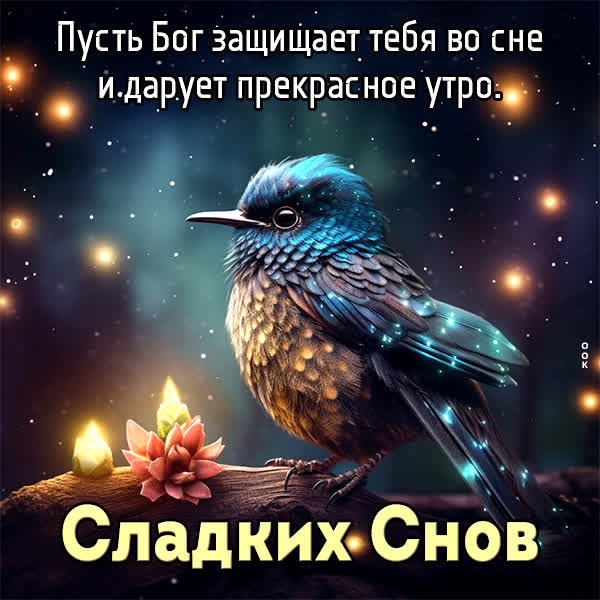 Picture забавная открытка сладких сной