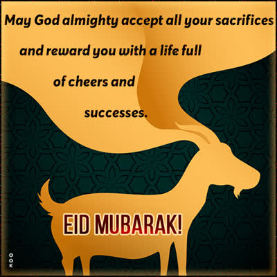 Picture bakr id/eid ul-adha