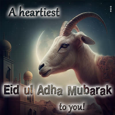 Postcard bakr id/eid ul-adha