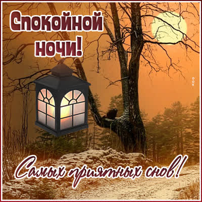 Postcard чудесная картинка самых приятных снов