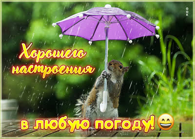 Postcard чудесная открытка хорошего настроения в любую погоду