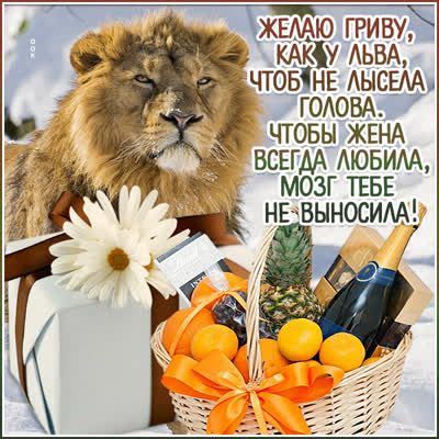 Postcard изысканная открытка желаю гриву как у льва