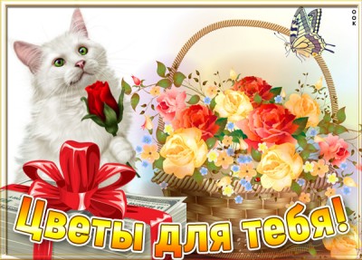 Картинка картинка котик с цветами