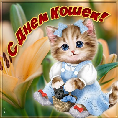 Картинка картинка поздравление с всемирным днем кошек