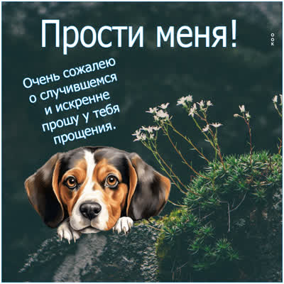 Picture ласковая открытка  прости меня