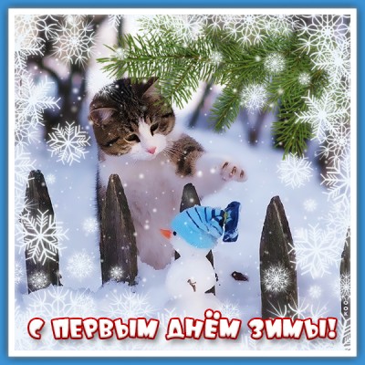 Картинка милая картинка с первым днем зимы со снеговиком