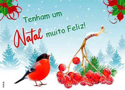 Postcard natal