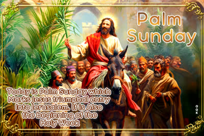 Postcard palm sunday