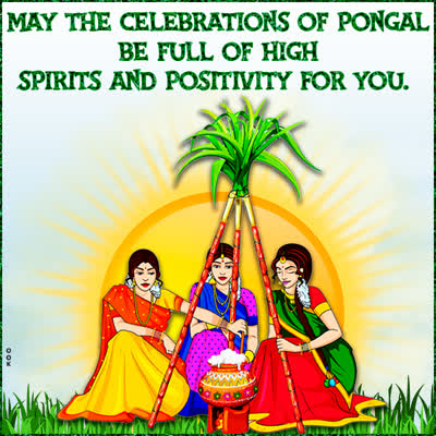 Postcard pongal