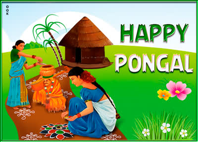 Picture pongal