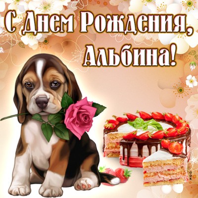 Открытка поздравительная открытка с днём рождения альбина
