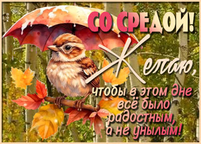 Postcard радостная картинка со средой