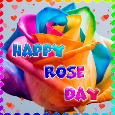 Picture rose day