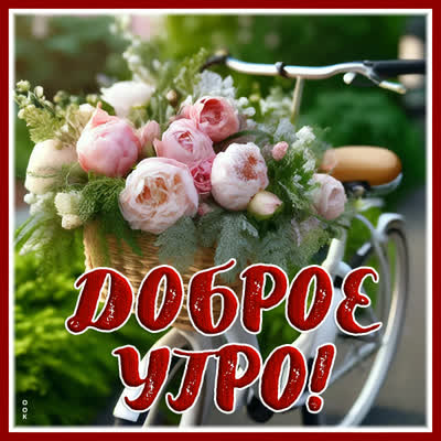 Picture солнечная картинка доброе утро