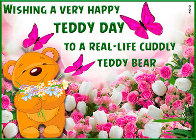 Picture teddy day