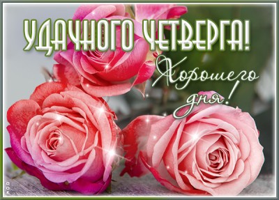 Открытка великолепная открытка четверг с розами