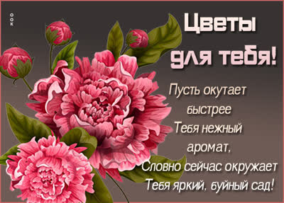 Picture яркая открытка цветы для тебя