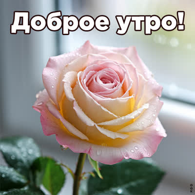 Picture яркая открытка доброе утро